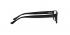 PH1219 Eyeglasses