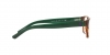 0PH2117 5650 OPTICAL