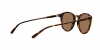 PH4110 Sunglasses