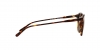 PH4110 Sunglasses