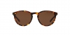 PH4110 Sunglasses