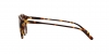 PH4110 Sunglasses
