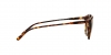 PH4110 Sunglasses