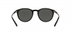 PH4110 Sunglasses