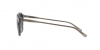 PH4110 Sunglasses