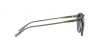 PH4110 Sunglasses
