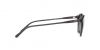 PH4110 Sunglasses