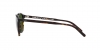 PH4180U Sunglasses