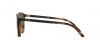 PH4183U Sunglasses