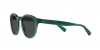 PH4192 Sunglasses