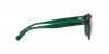 PH4192 Sunglasses