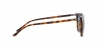 PH4194U Sunglasses