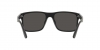 PH4195U Sunglasses