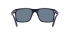PH4195U Sunglasses