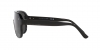 PH4195U Sunglasses