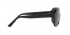 PH4195U Sunglasses