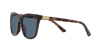 PH4201U Sunglasses