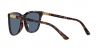 PH4201U Sunglasses