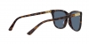 PH4201U Sunglasses