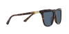 PH4201U Sunglasses