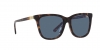 PH4201U Sunglasses