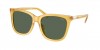 PH4201U Sunglasses
