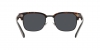 PH4201U Sunglasses