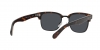 PH4201U Sunglasses