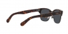 PH4201U Sunglasses