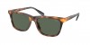 PH4205U Sunglasses