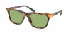 PH4205U Sunglasses