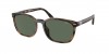 PH4208U Sunglasses