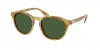 PH4221 Sunglasses