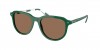 PH4225F Sunglasses