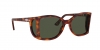 PO0005 Sunglasses