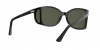 PO0005 Sunglasses
