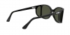 PO0005 Sunglasses
