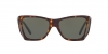 PO0009 Sunglasses