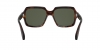 PO0581S Sunglasses