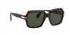 PO0581S Sunglasses