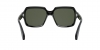 PO0581S Sunglasses