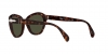 PO0581S Sunglasses