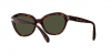 PO0581S Sunglasses