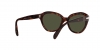 PO0581S Sunglasses