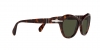 PO0581S Sunglasses