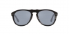 PO0649 Sunglasses