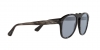 PO0649 Sunglasses