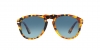 PO0649 Sunglasses