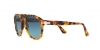 PO0649 Sunglasses