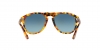PO0649 Sunglasses